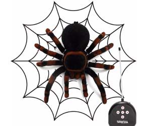 Tarantula Radiocontrol