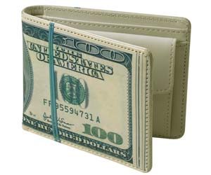 cartera fajo dólares