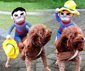 Chaleco para Perros
