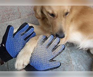 guantes_masaje_perro_quita_pelos
