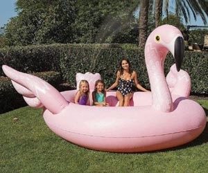 Flamingo SPA con Pulverizador