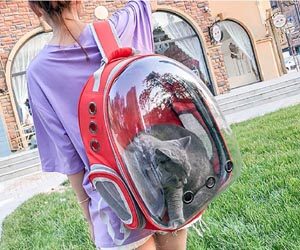 Mochila Transparente Mascota