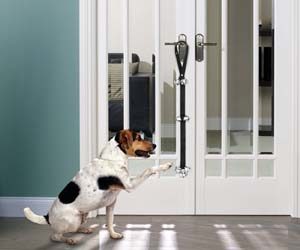 timbre para perros