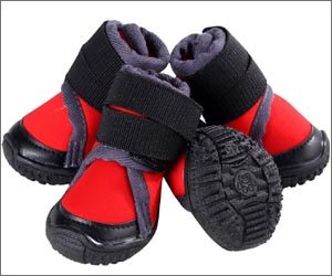 Botas para Perros