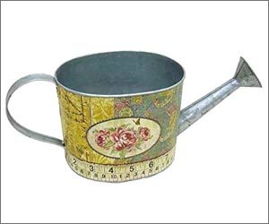 Regadera Ovalada de Diseño